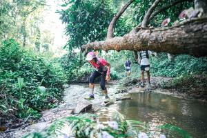 BIB: 
                            <button type="button" onclick="openModal(25433678)" class="btn btn-primary btn-sm float-right btn-popup" data-toggle="modal" data-target=".modal-high-quality">
                        <i class="fas fa-shopping-cart"></i> Add to Cart
                    </button>
                                            <button type="button" onclick="isThisMe(25433678, true)" class="btn btn-success btn-sm float-right btn-popup btn-isme hidden" data-toggle="tooltip" data-placement="bottom" title="นี่คือรูปของคุณใช่ไหม คลิกที่นี่เพื่อเอาเข้าอัลบั้ม">
                        <i class="fas fa-plus"></i> Add to album
                    </button>
                    <button type="button" onclick="isThisMe(25433678, false)" class="btn btn-warning btn-sm float-right btn-popup btn-isnotme hidden">
                        <i class="fas fa-ban"></i> Remove from album
                    </button>